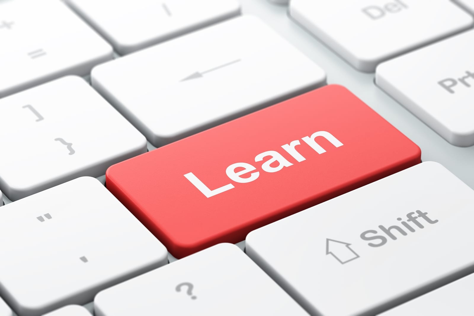 DigitalChalk: Develop Your Learning Management System Skills